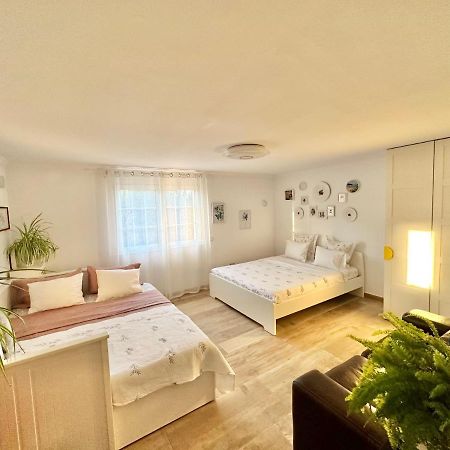 Villa Eliza 德尼亚 外观 照片